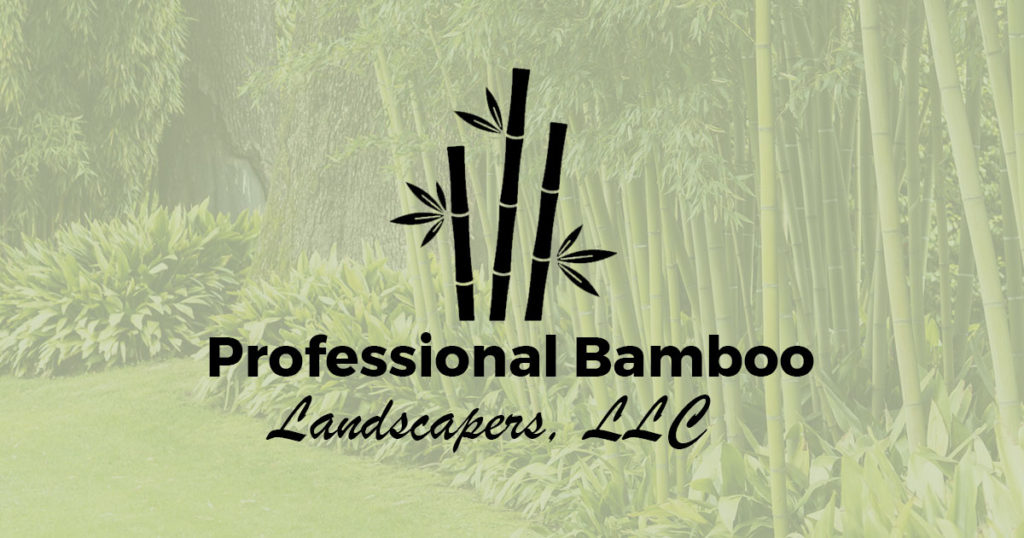 Bamboo Removal NJ