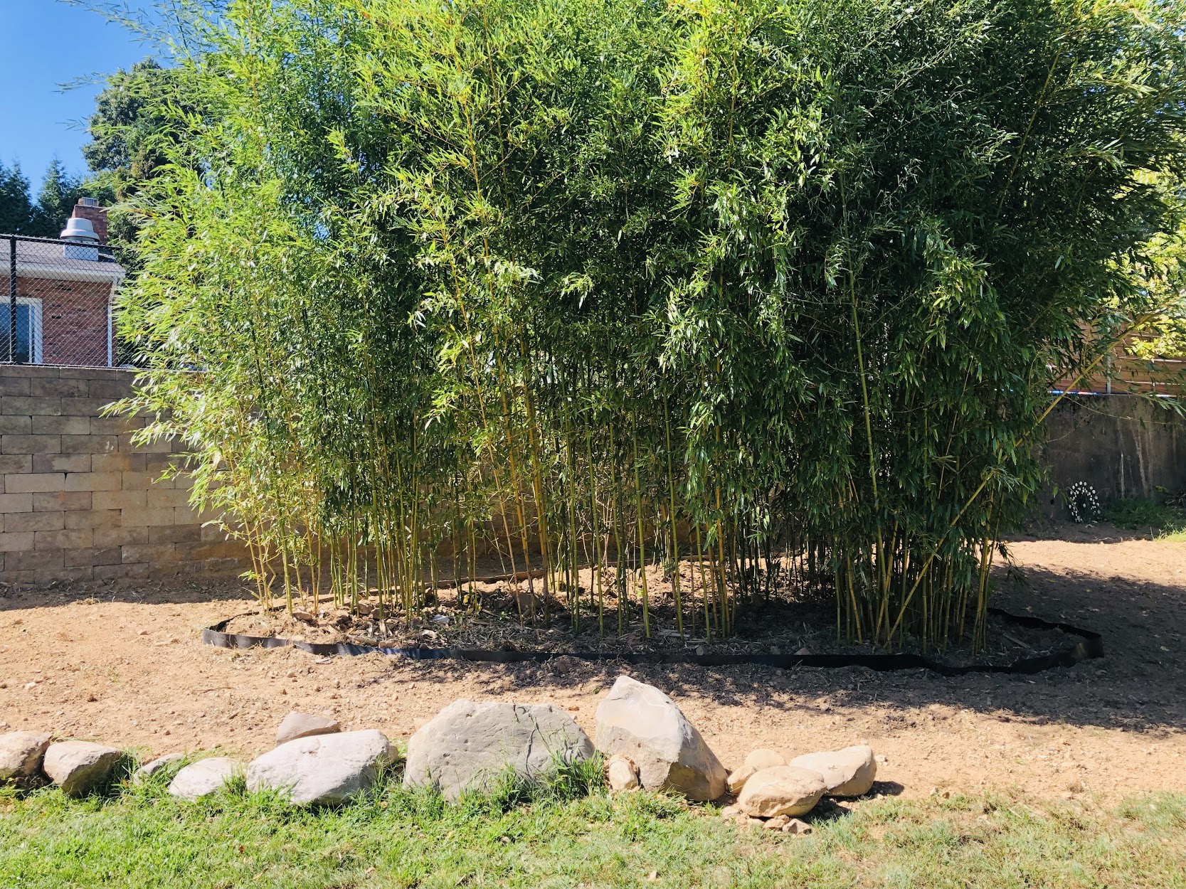 Bamboo Containment