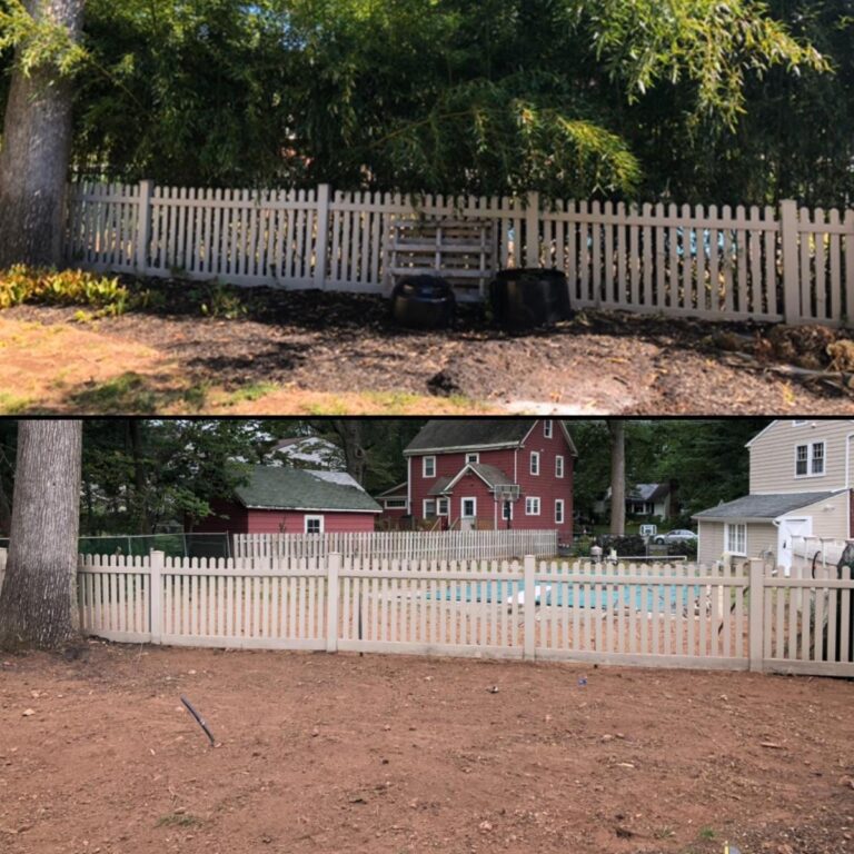 Bamboo-Removal-Before-and-After-4