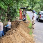 How to control bamboo spread with a rhizome barrier