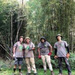 Why You Should Choose Professional Bamboo Landscapers LLC