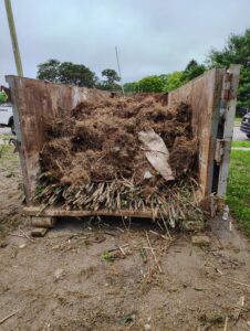 Bamboo-Rhizome-Removal-and-Disposal-in-New-Jersey