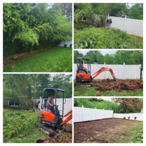 Professional-Bamboo-Removal-Company